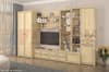 Гостиная Карина 11